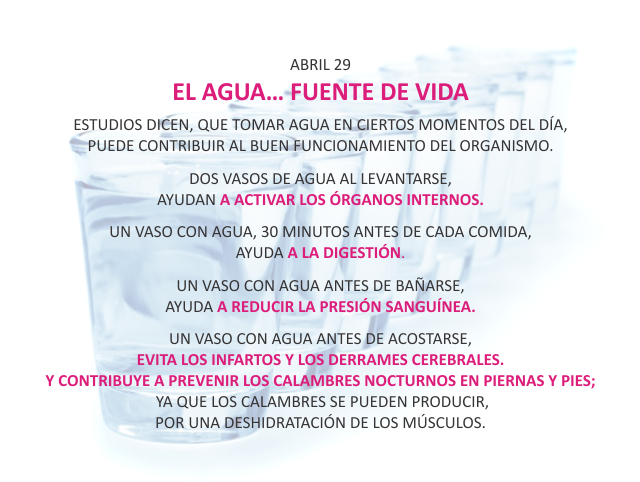 El agua... fuente de vida